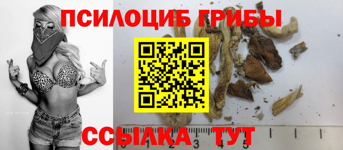 Псилоцибиновые грибы прущие грибы Лесной