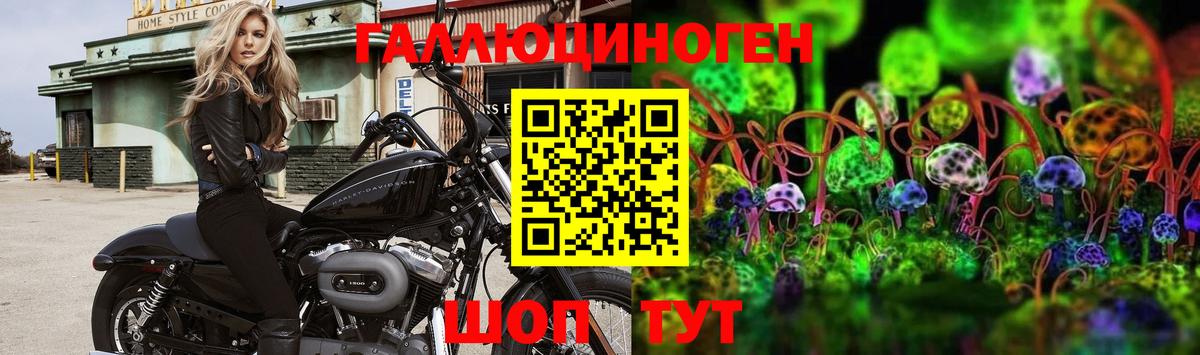Галлюциногенные грибы Cubensis  Псилоцибиновые грибы Psilocybine cubensis  Вход с VPN  Лесной 