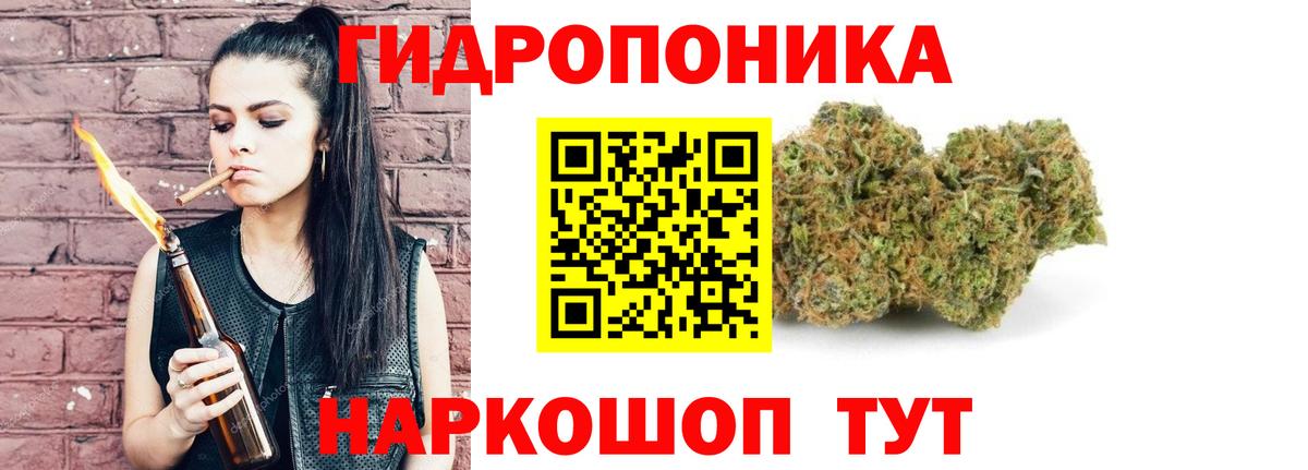 Канабис сатива Лесной